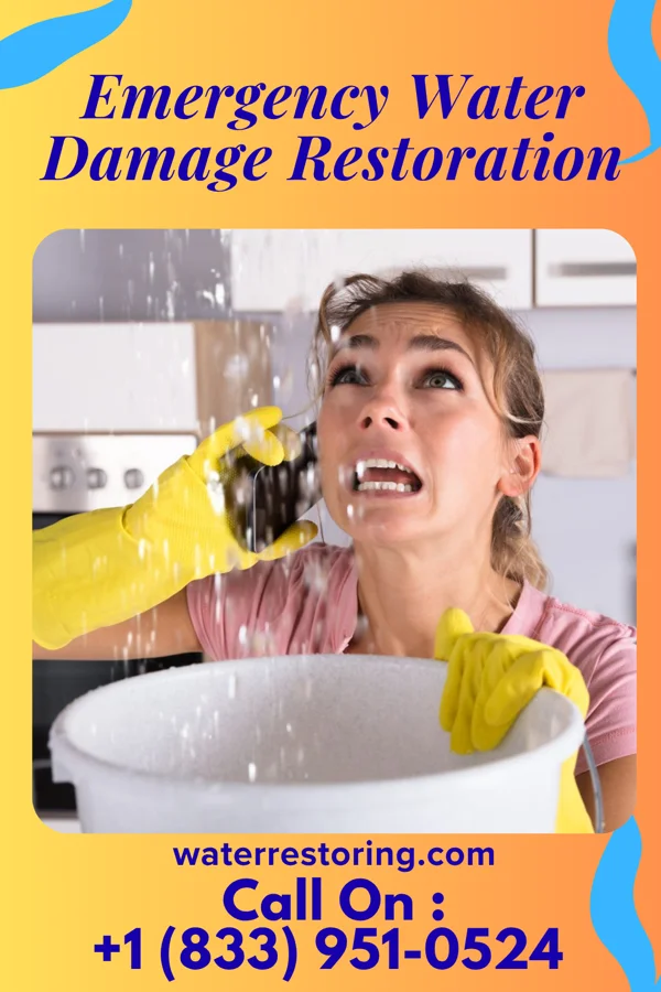 Emergency Water Damage Restoration in Vine Grove, KY